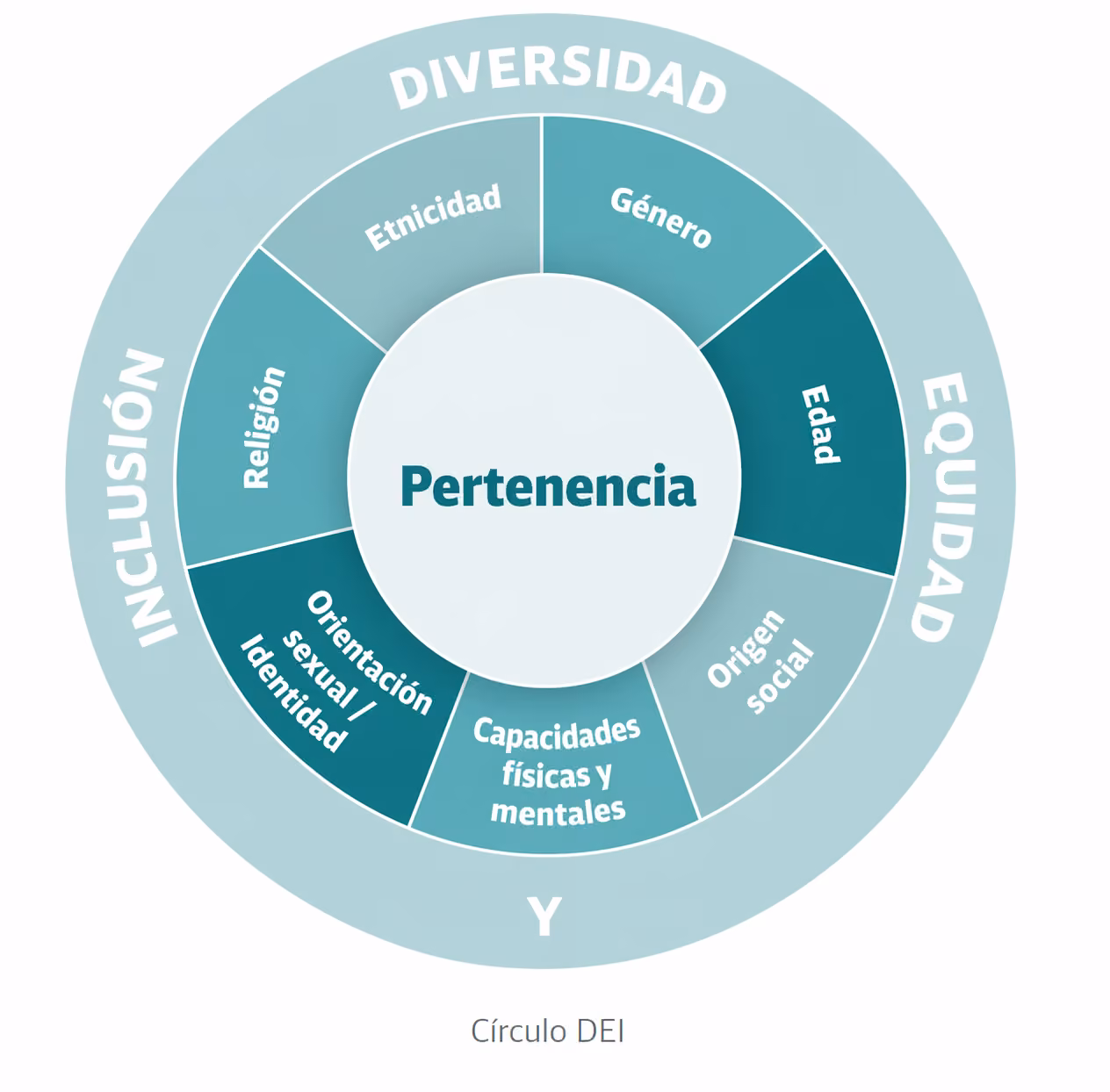 Círculo DEI — Diversidad, Equidad e Inclusión